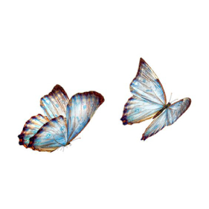 contacto-consulta-de-psicologia-mariposa-azul